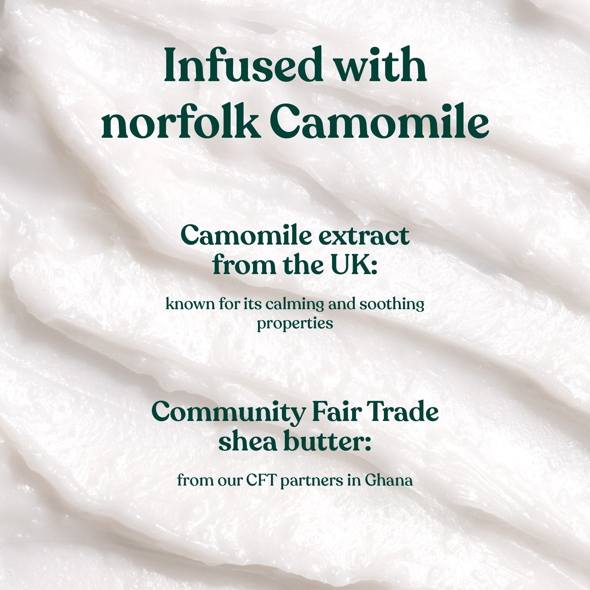 Camomile cleansing butter with text about Norfolk Camomile and Community Fair Trade shea butter.