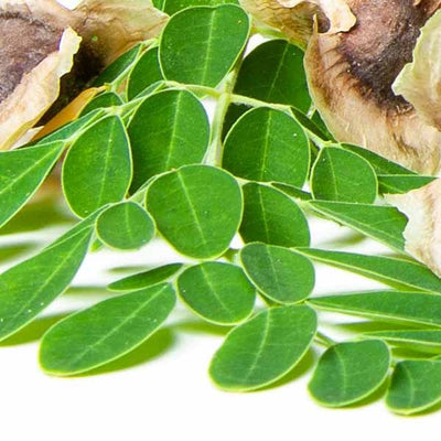 Ulei din Semințe de Moringa Community Fair Trade